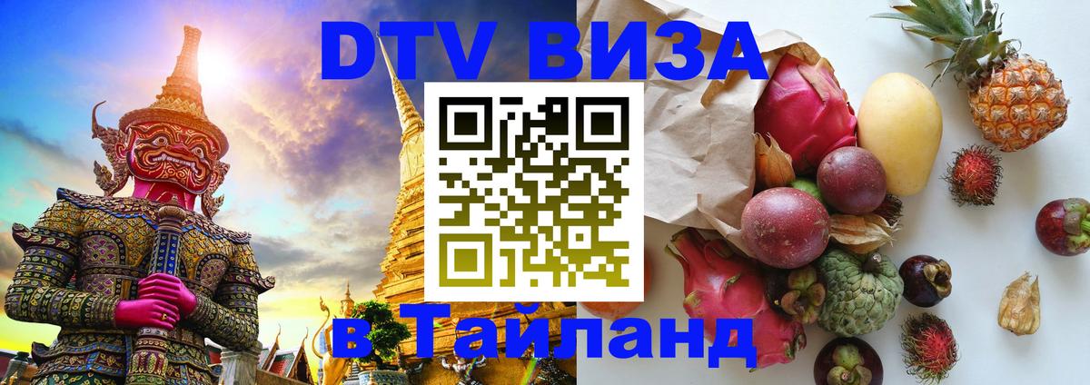 Сколько стоит DTV виза — актуальные цены, оформление даже без документов - 19.11.2025 